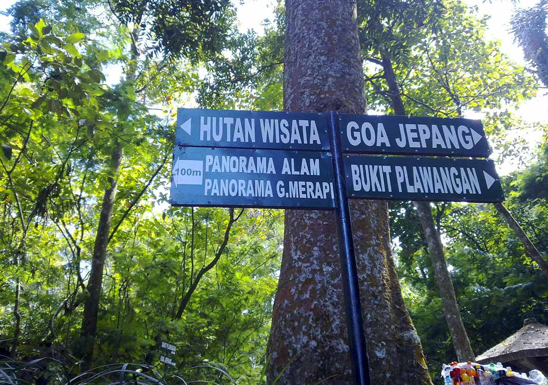 7 WISATA ALAM TAMAN NASIONAL GUNUNG MERAPI