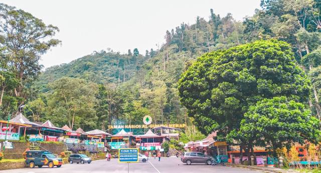 WISATA ALAM TAMAN NASIONAL GUNUNG MERAPI DIBUKA PER HARI INI!