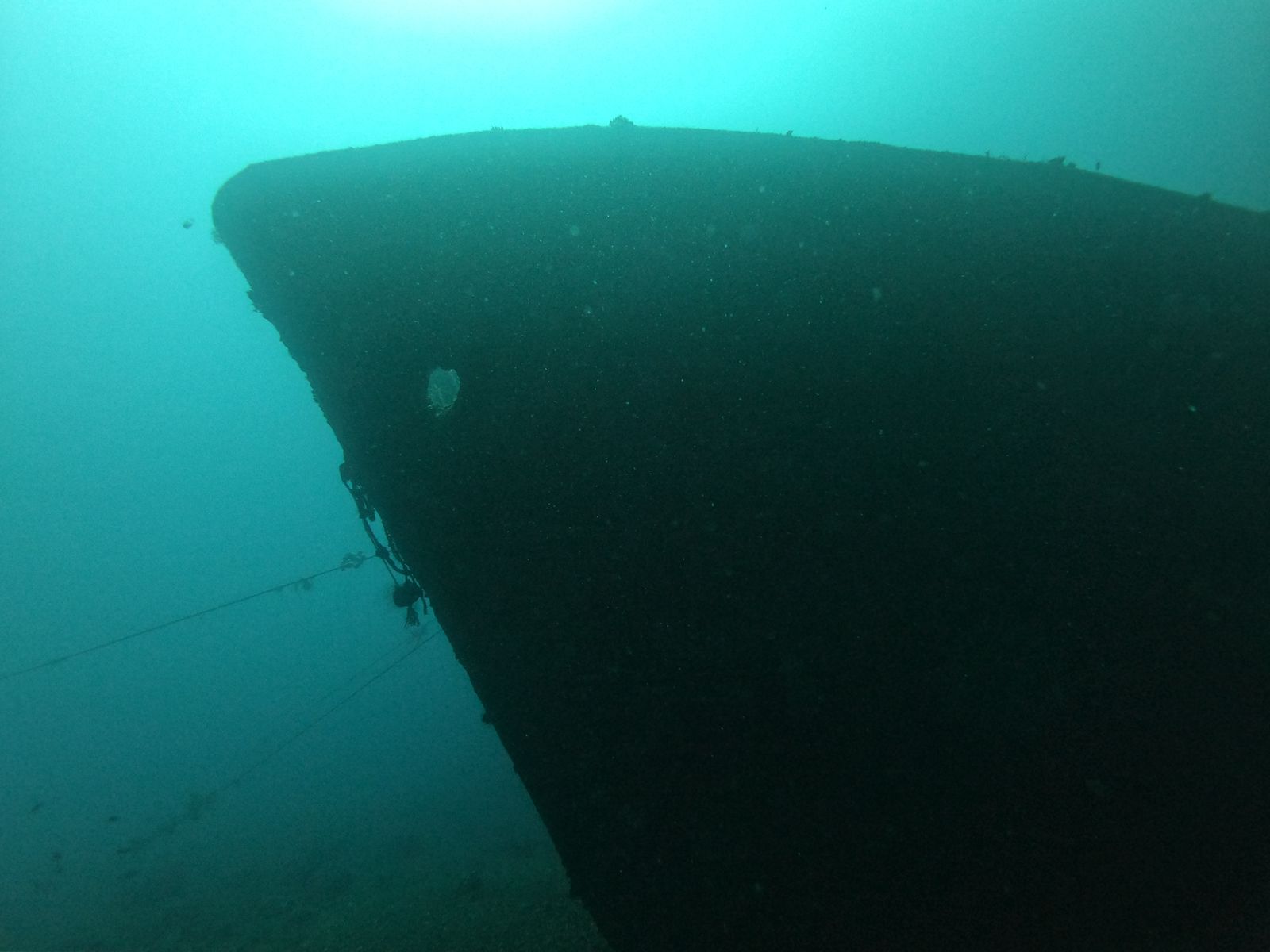 BOGA WRECK