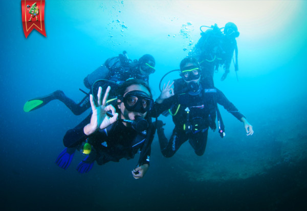 Trip Menyelam & Kuliner di Bali Utara 2D1N