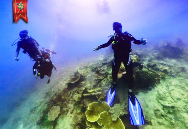 Trip Fun Dive at Pulau Pramuka 2D1N by Instructor Sam