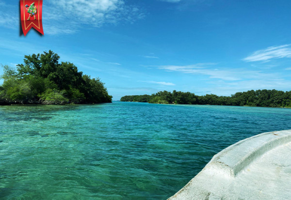 ON THE ISLAND DISCOVERY SCUBA AT PRAMUKA PIER WITH MAZU DIVER