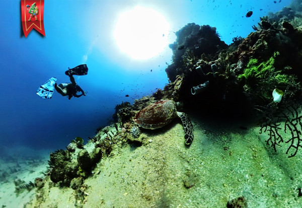 BEST FUN DIVE TULAMBEN BALI